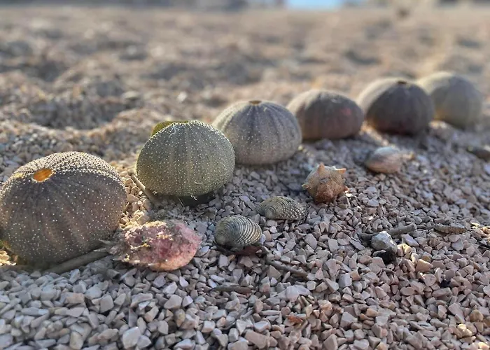 Cherso Mare Daire Cres