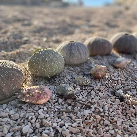 Cherso Mare Apartamento Cres